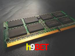 Premium Interface h9bet