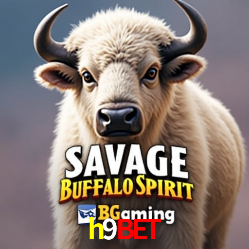 A Experiência Imersiva dos Cassinos Ao Vivo no h9bet